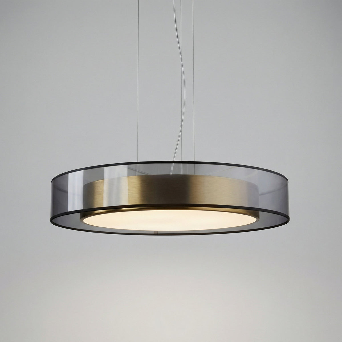 Modern Suspended Light Fixture -  Roselume