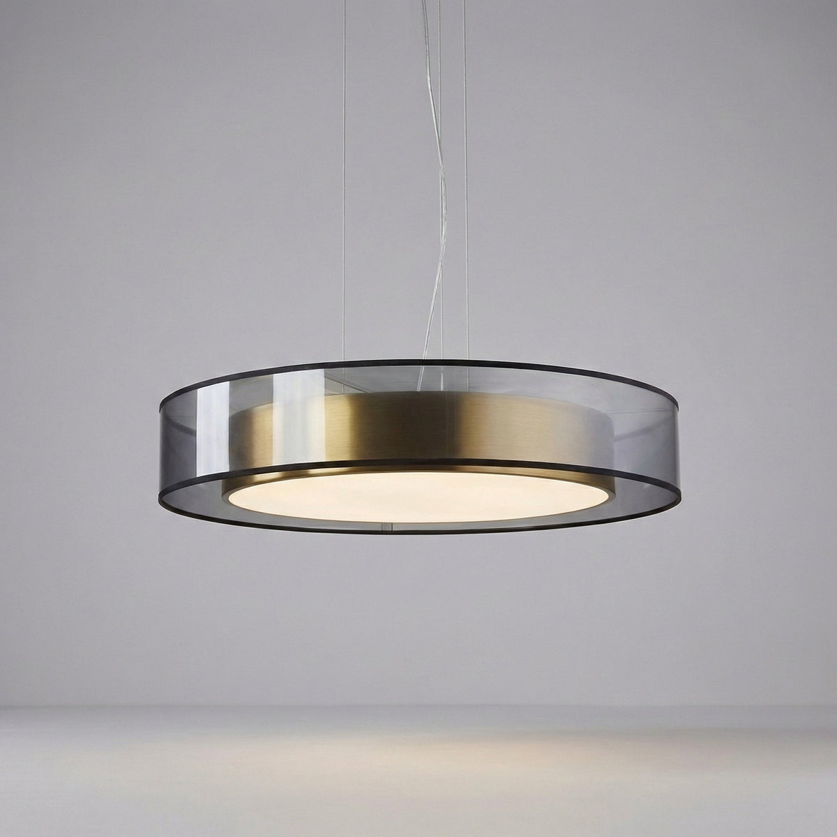 Modern Suspended Light Fixture -  Roselume
